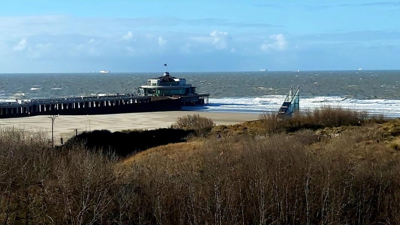 Studio Met Zeezicht Blankenberge Eksteriør billede