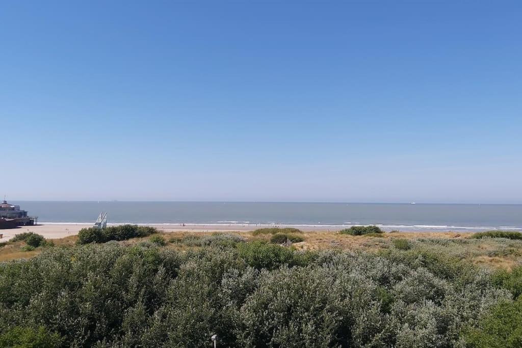 Studio Met Zeezicht Blankenberge Eksteriør billede